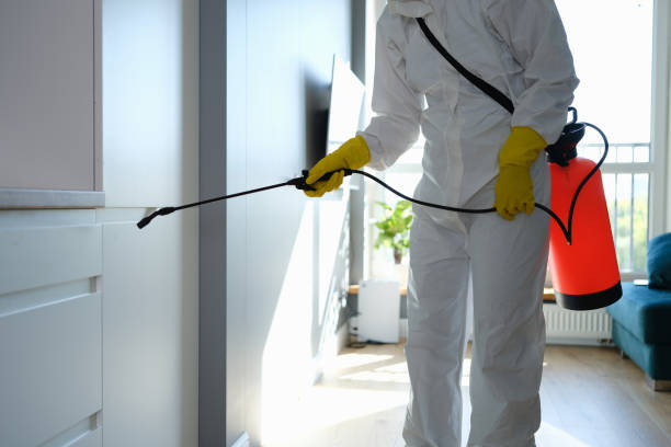 Best Professional Mold Removal  in Kingsley, MI