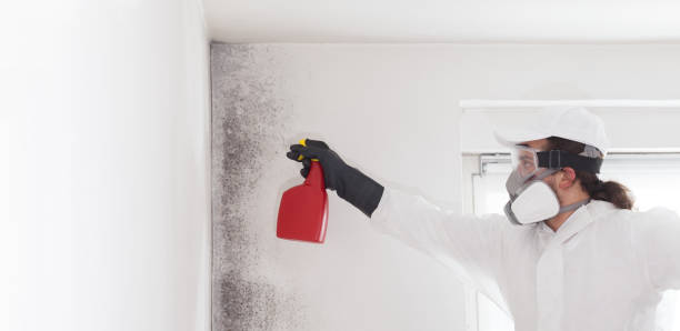 Best Residential Mold Removal  in Kingsley, MI