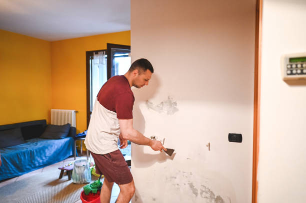 Best Mold Removal Near Me  in Kingsley, MI